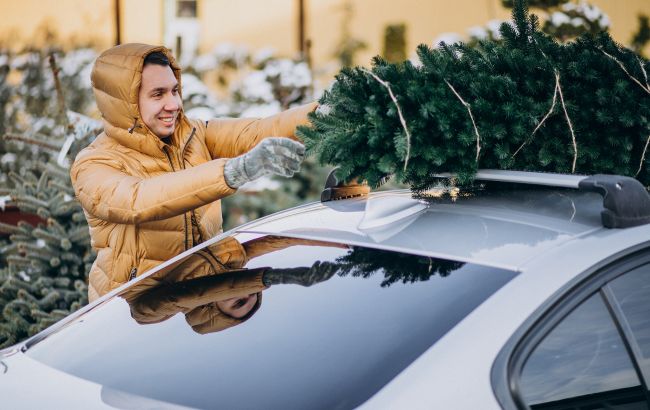 Ялинки в Києві можна буде купити з 4 грудня - повний список адрес 1