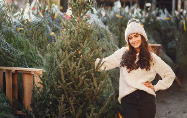 Ялинки в Києві скільки коштуватимуть у 2025 році - ціни 1