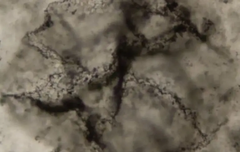 Коли виникло життя на Землі - вчені знайшли хімічні сліди життя віком 3,3 мільярда років - фото 1