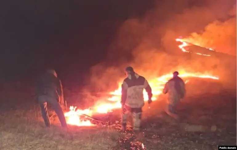 Лісові пожежі у Вірменії - полум'я охопило шість регіонів країни 1
