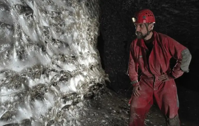 Найбільша павутина у світі - де розташовується павутиння, в якому живе 111000 павуків - фото Найбільша павутина у світі - де розташовується павутиння, в якому живе 111000 павуків - фото 1