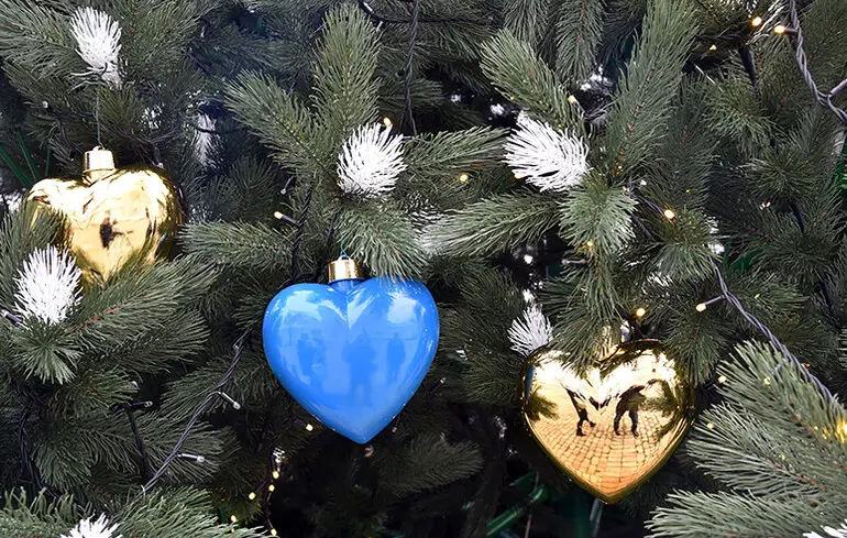 Новорічна ялинка - коли розпочнуться продажі та на скільки виросла ціна 1