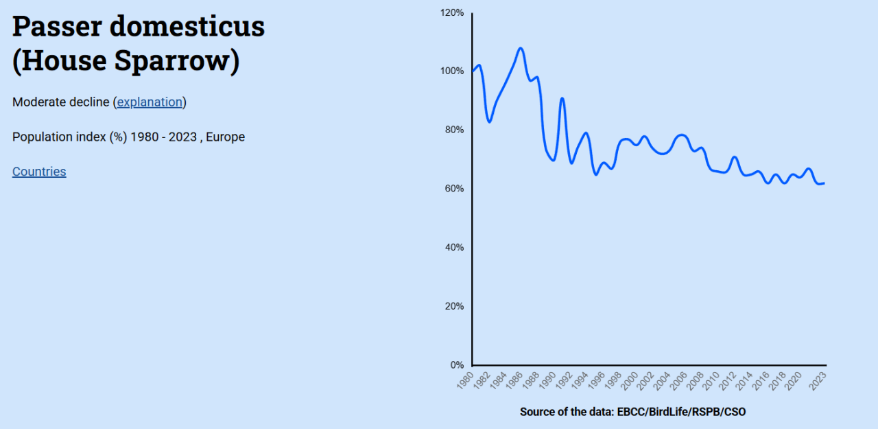 Орнітолог Ганна Кузьо в інтерв'ю РБК-Україна про горобців, рідкісних птахів і міграцію Орнітолог Ганна Кузьо в інтерв'ю РБК-Україна про горобців, рідкісних птахів і міграцію 6