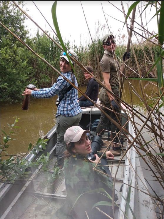 Орнітолог Ганна Кузьо в інтерв'ю РБК-Україна про горобців, рідкісних птахів і міграцію Орнітолог Ганна Кузьо в інтерв'ю РБК-Україна про горобців, рідкісних птахів і міграцію 8