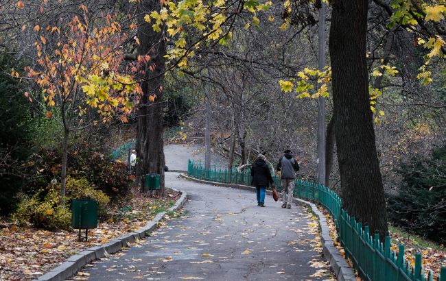 Погода в Україні 9 листопада - прогноз від Діденко 1