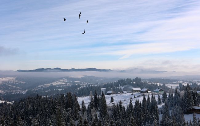 Погода в Україні сьогодні несе мороз у Карпатах, ожеледицю на дорогах і небезпечний вітер - прогноз 1