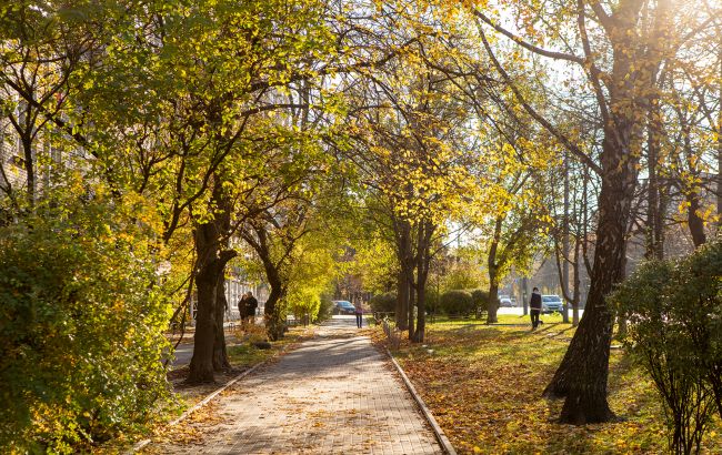 Погода в Україні у листопаді 2025 встановила 5 нових температурних рекордів - прогноз, УкрГМЦ 1