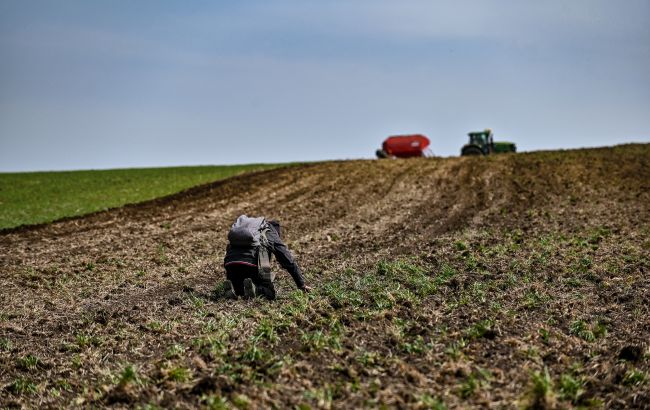 Погода в Україні в листопаді з туманами і дощами вплинула на посіви озимини і майбутній врожай Погода в Україні в листопаді з туманами і дощами вплинула на посіви озимини і майбутній врожай 4