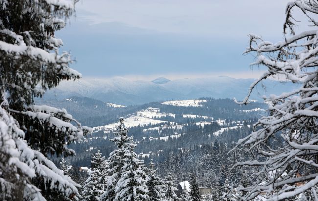Сніг в Україні сьогодні випав після похолодання у Карпатах, Буковелі й різних областях - фото, відео 1