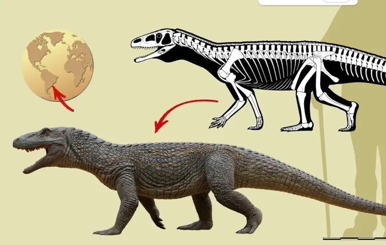 Стародавній ящір-воїн - учені знайшли скам'янілість попередника динозаврів Стародавній ящір-воїн - учені знайшли скам'янілість попередника динозаврів 2