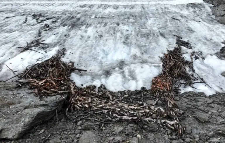 Стародавня пастка для оленів - учені знайшли незвичайні артефакти під льодами Норвегії Стародавня пастка для оленів - учені знайшли незвичайні артефакти під льодами Норвегії 2