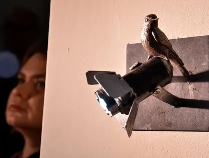 У Києві презентували мистецьку історію Майдану через виставу Майдан Інферно - фоторепортаж 23