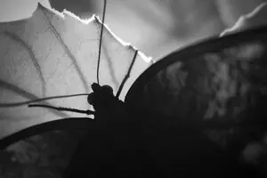 Війна в Україні - як страх смерті визначає цивілізаційні межі між нами і ними 3