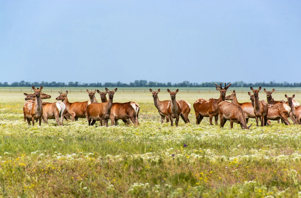 Вже не буде як раніше: еколог про нову географію України із зонами відчуження 10
