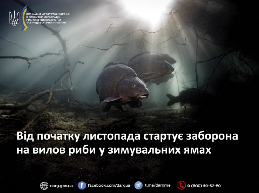 Заборона на вилов риби у зимувальних ямах в Україні діє з 1 листопада - де можна ловити, правила Заборона на вилов риби у зимувальних ямах в Україні діє з 1 листопада - де можна ловити, правила 6