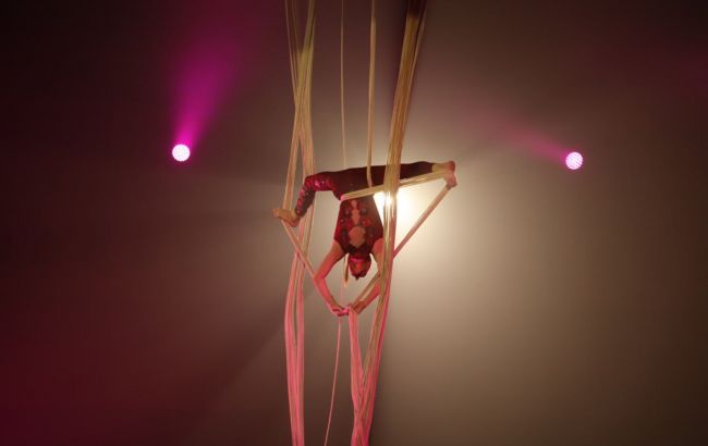 Акробати в цирку й інші артисти заробляють скільки працюють і виходять на пенсію не пізно 1