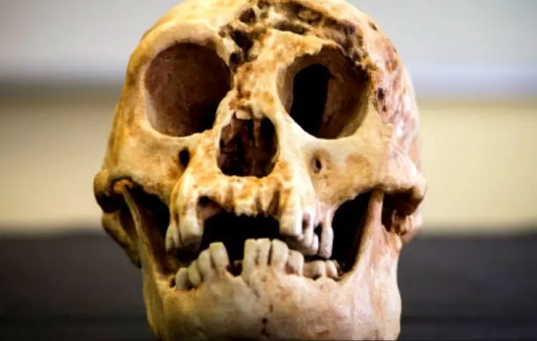 Чому вимерли гобіти - посуха змусила маленьких людей конкурувати з Homo sapiens 1