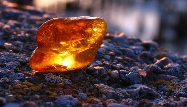 Хто скуповував українські надра у 2025: п'ять найдорожчих ліцензій Хто скуповував українські надра у 2025: п'ять найдорожчих ліцензій 3