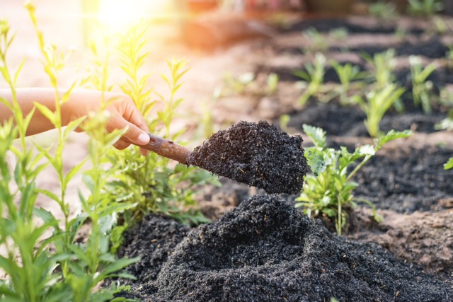 Купити добрива чи зробити самостійно? 2 Купити добрива чи зробити самостійно? 1
