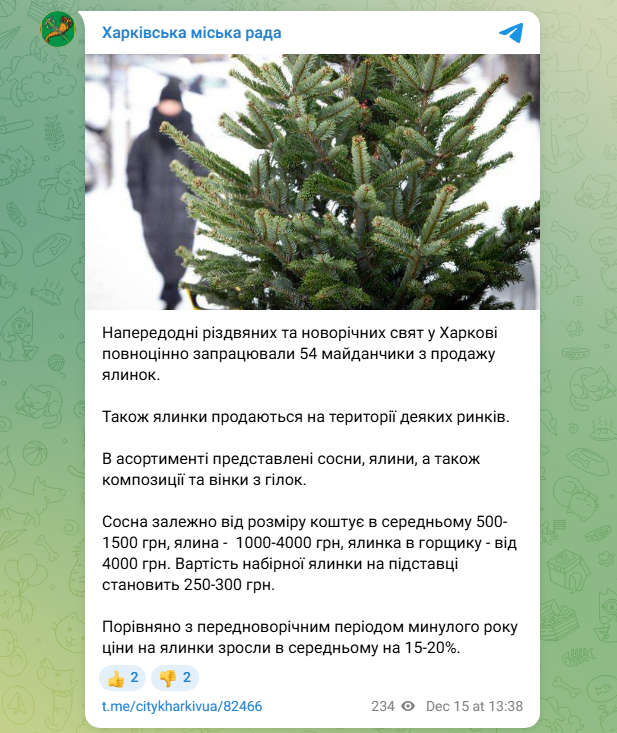 Купити ялинку й сосну у Харкові можна на офіційних майданчиках і ринках - яка ціна 2