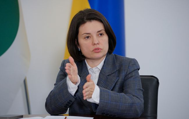 Леся Карнаух в інтерв'ю РБК-Україна про ФОПи, декларування та борги бізнесу 1