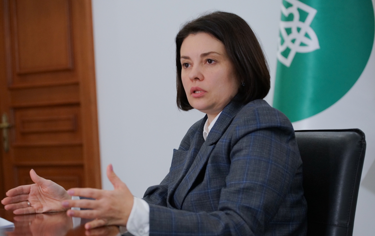 Леся Карнаух в інтерв'ю РБК-Україна про ФОПи, декларування та борги бізнесу 2