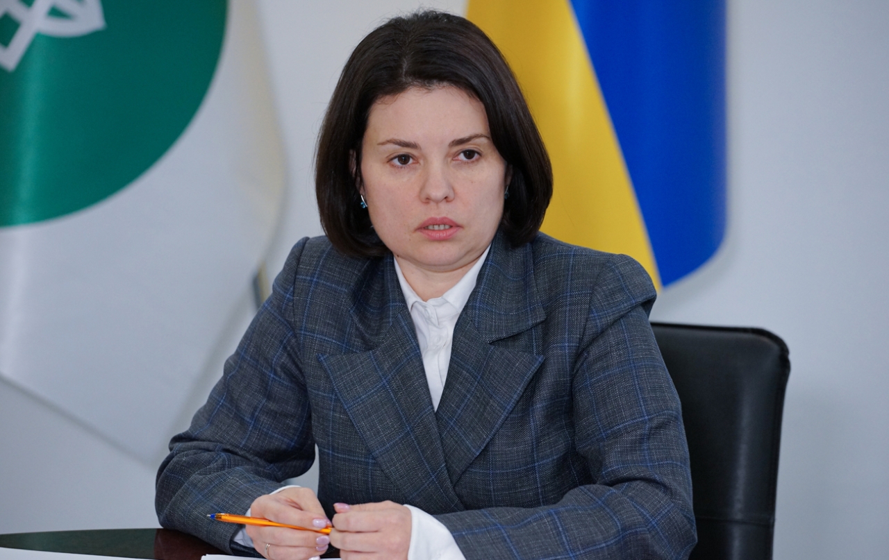 Леся Карнаух в інтерв'ю РБК-Україна про ФОПи, декларування та борги бізнесу 5