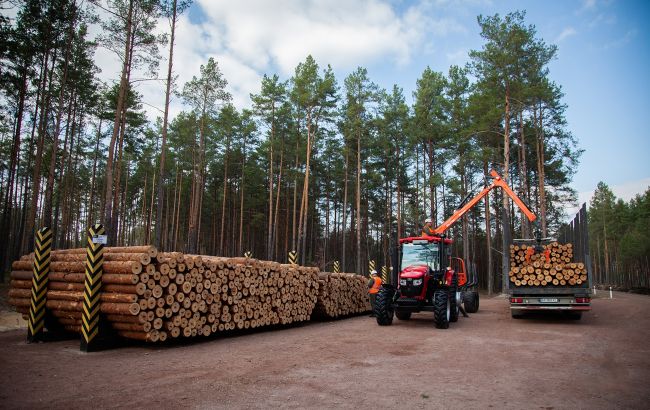 Ліси України відрахували в держбюджет рекордні 15 млрд грн 1