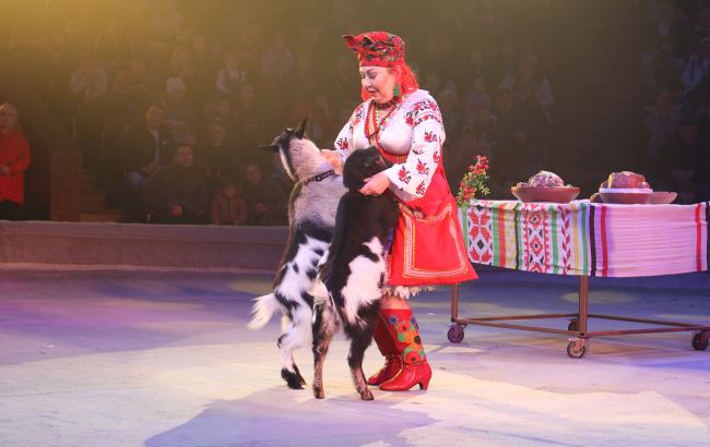Національний цирк України під час війни як змінився - директор назвав ключові моменти 1