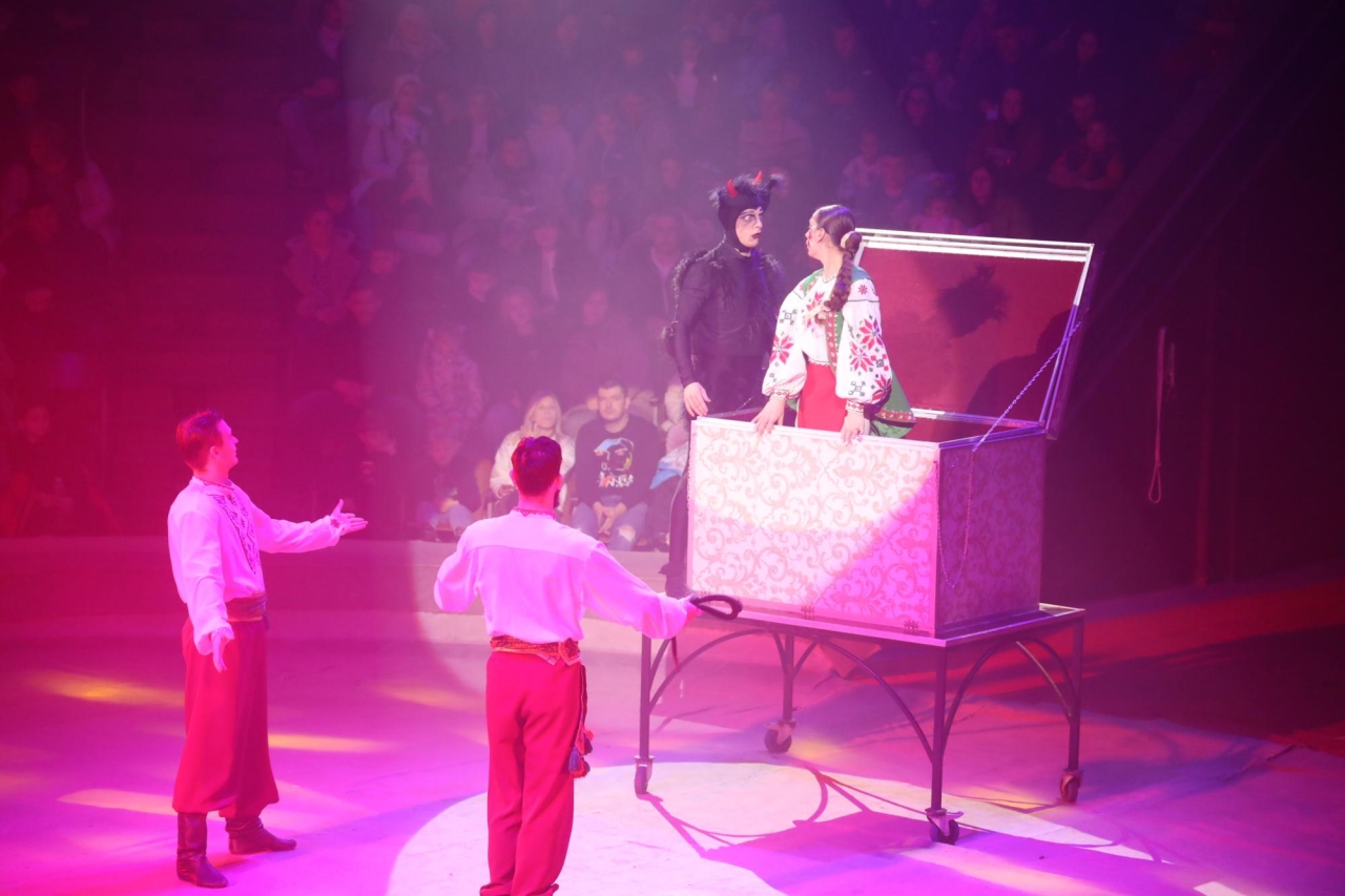 Національний цирк України під час війни як змінився - директор назвав ключові моменти 3