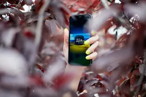 Онлайн-держпослуги в Україні - як війна пришвидшила цифрову трансформацію 8