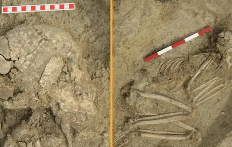 Підліток пережив напад лева 6200 років тому - що знайшли вчені - фото 1