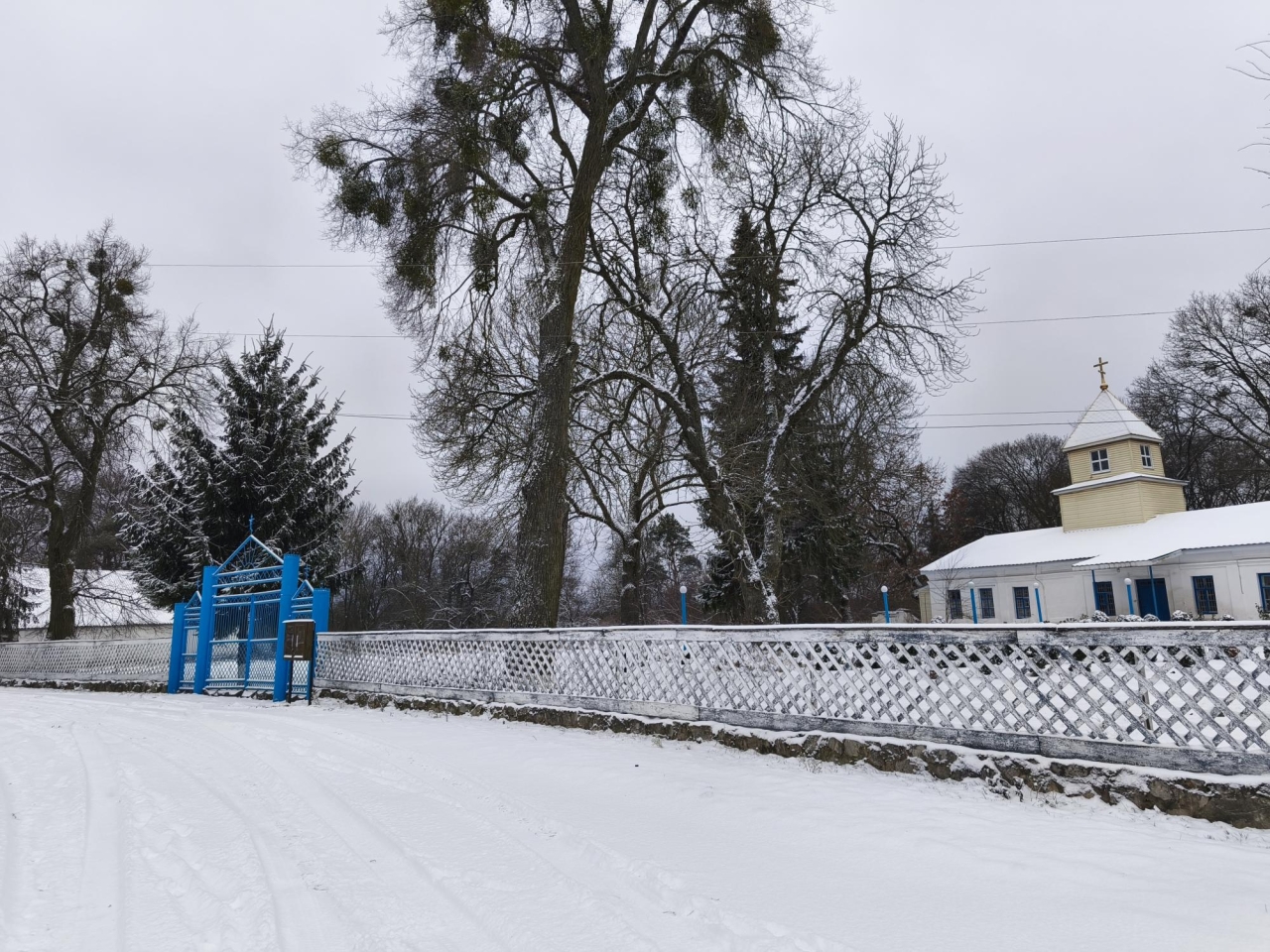 Погода в Україні 26 грудня - які регіони засипає снігом, фото, відео 2