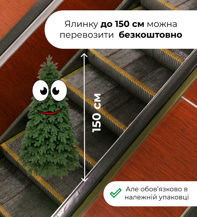 Правила перевезення ялинок в метро Києва й оплата проїзду - що заборонено 4