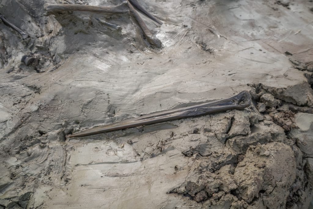 Ритуальне поховання собаки з кинджалом - унікальна знахідка кам’яної доби у Швеції - новини науки 2