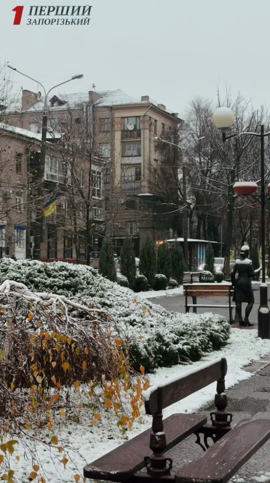 Сніг в Україні сьогодні 10 грудня випав у різних містах і областях - прогноз погоди Сніг в Україні сьогодні 10 грудня випав у різних містах і областях - прогноз погоди 9