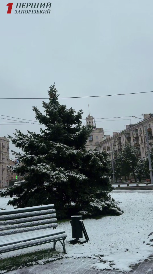 Сніг в Україні сьогодні 10 грудня випав у різних містах і областях - прогноз погоди Сніг в Україні сьогодні 10 грудня випав у різних містах і областях - прогноз погоди 7