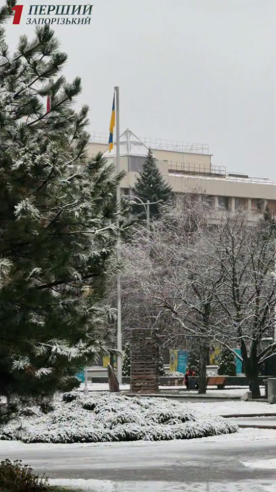 Сніг в Україні сьогодні 10 грудня випав у різних містах і областях - прогноз погоди 12