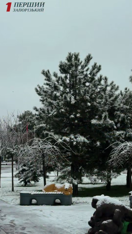 Сніг в Україні сьогодні 10 грудня випав у різних містах і областях - прогноз погоди Сніг в Україні сьогодні 10 грудня випав у різних містах і областях - прогноз погоди 10