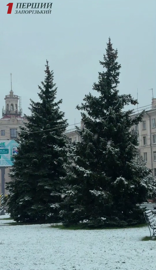 Сніг в Україні сьогодні 10 грудня випав у різних містах і областях - прогноз погоди Сніг в Україні сьогодні 10 грудня випав у різних містах і областях - прогноз погоди 4