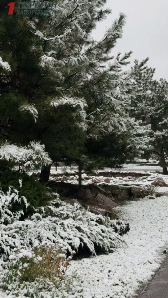 Сніг в Україні сьогодні 10 грудня випав у різних містах і областях - прогноз погоди Сніг в Україні сьогодні 10 грудня випав у різних містах і областях - прогноз погоди 11