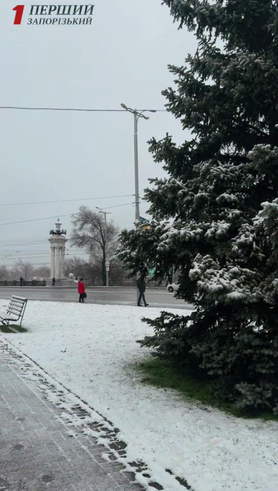 Сніг в Україні сьогодні 10 грудня випав у різних містах і областях - прогноз погоди Сніг в Україні сьогодні 10 грудня випав у різних містах і областях - прогноз погоди 8