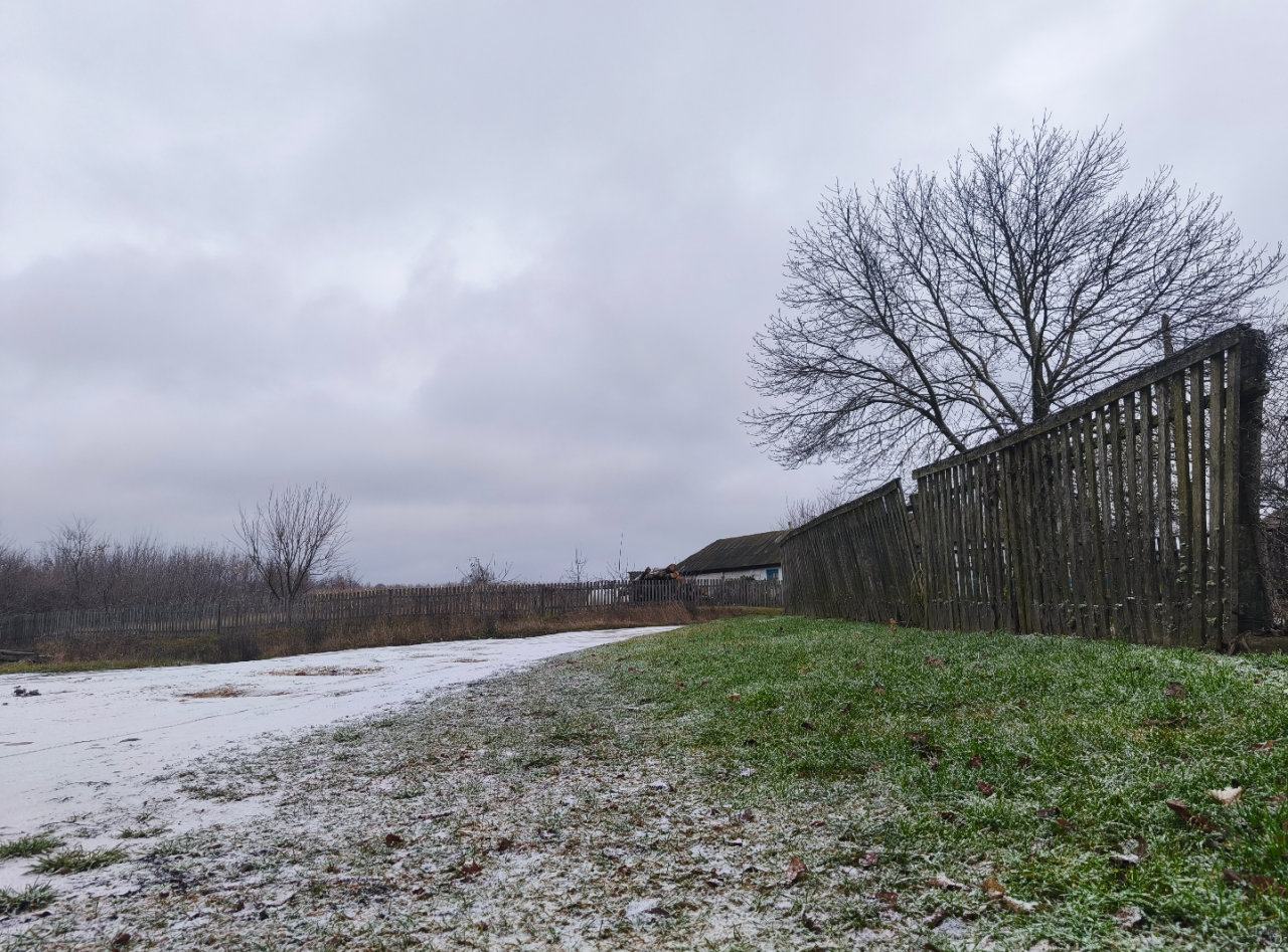 Сніг в Україні сьогодні 9 грудня помітили у різних областях - прогноз погоди 4