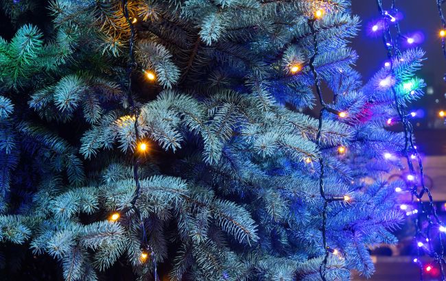 У Харкові встановили новорічні ялинки - як місто прикрашають до Різдва та Нового року, фото 1