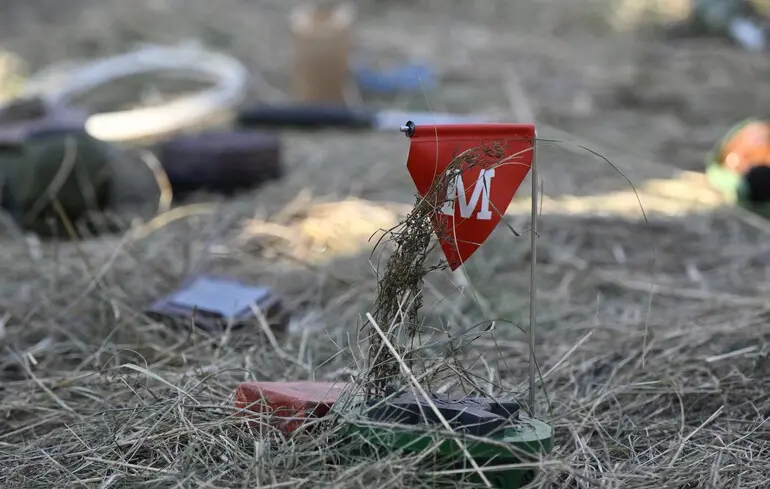 Виробництво протипіхотних мін у Польщі - Варшава потребує мільйони мін для захисту 1