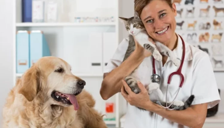 Як обрати надійну систему управління ветеринарною клінікою? 4 Як обрати надійну систему управління ветеринарною клінікою? 3