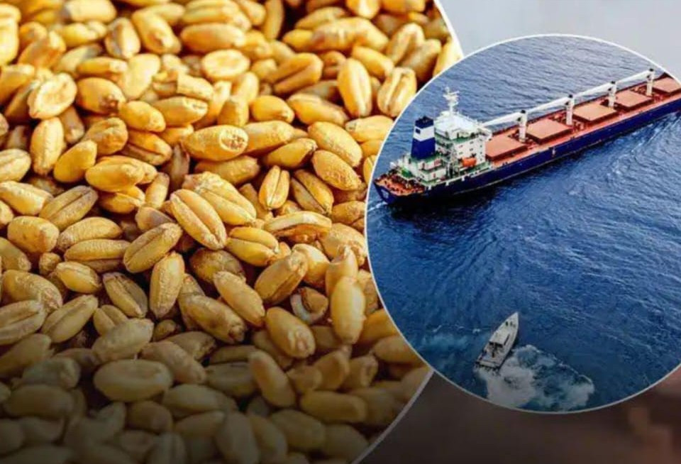 Заяви Путіна про удари по українських портах призвели до зростання цін на зерно 1