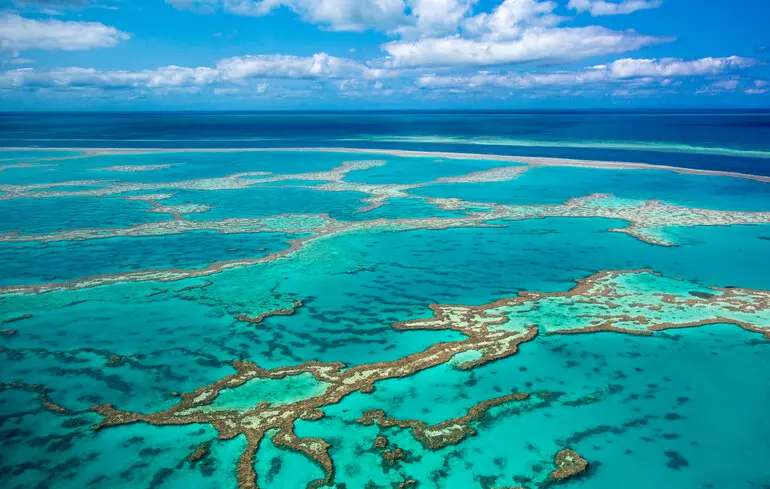 Чисте повітря шкодить Великому Бар’єрному рифу - скорочення викидів суден посилило знебарвлення коралів - новини науки 1