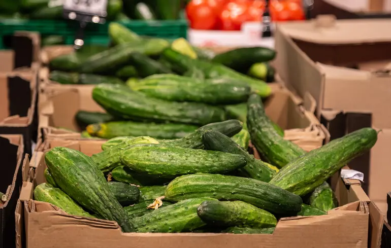 Ціна на огірки в Україні 2026 – як змінилася в січні, скільки коштує цей овоч – новини України 1