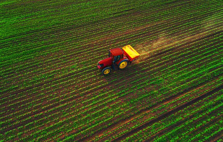 ФАО запустила тендер на закупівлю насіння овочів для України 1